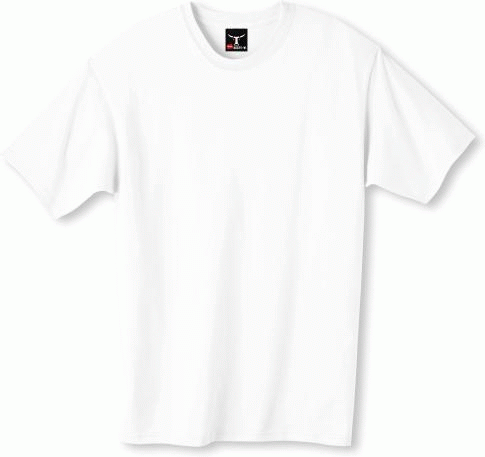 Hanes Beefy T-Shirt - White